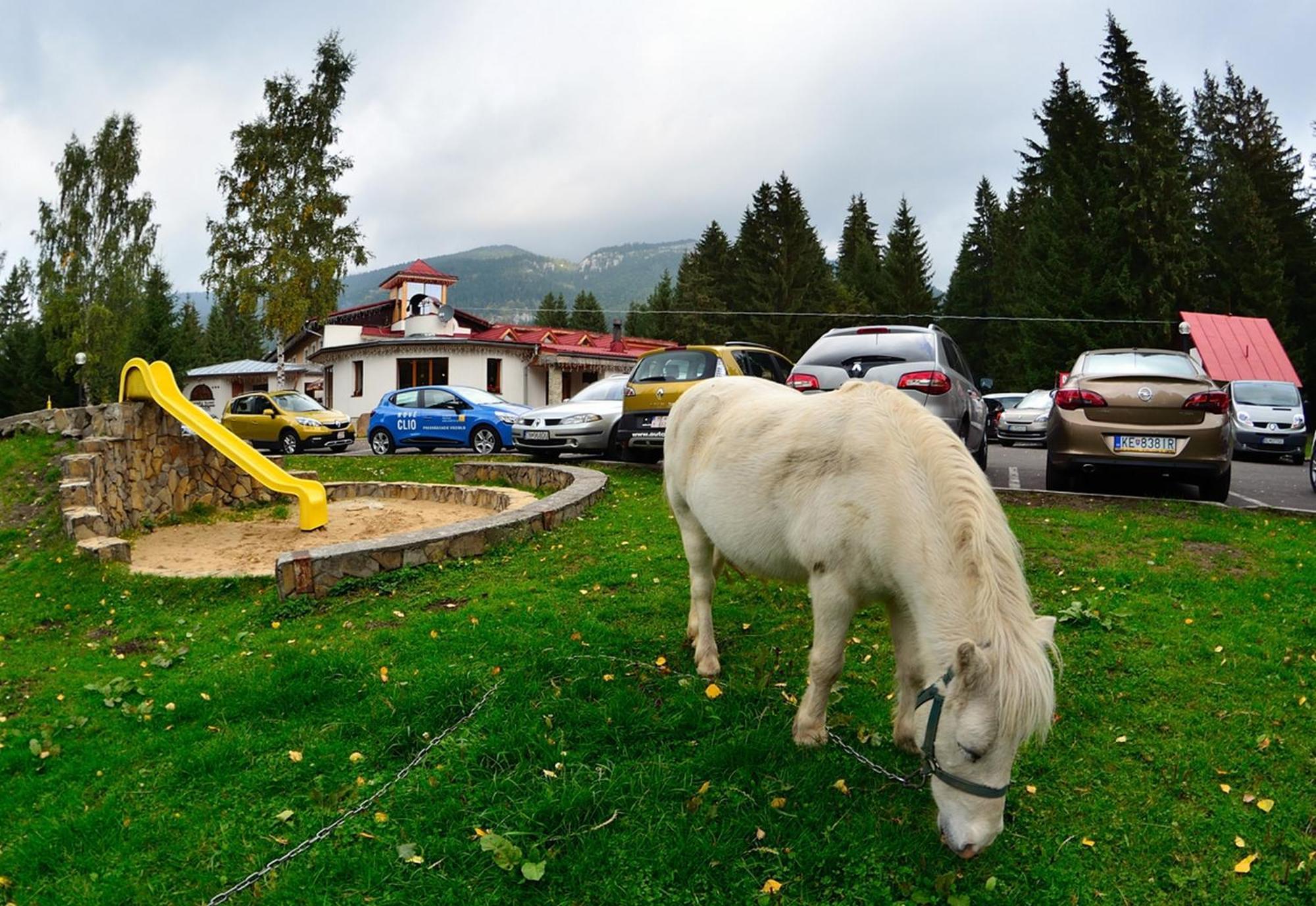 Horsky Hotel Mnich Bobrowiec Zewnętrze zdjęcie